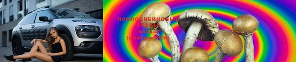 мяу мяу мука Баксан
