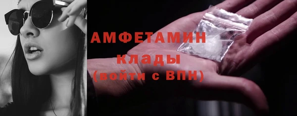твердый Шадринск