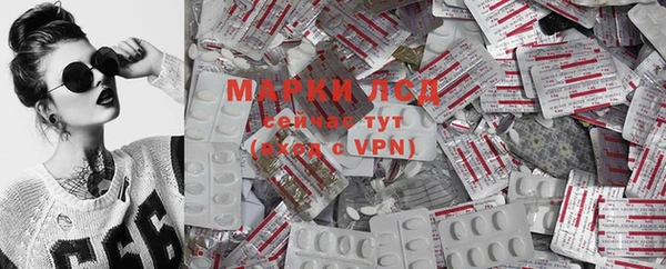мяу мяу мука Баксан