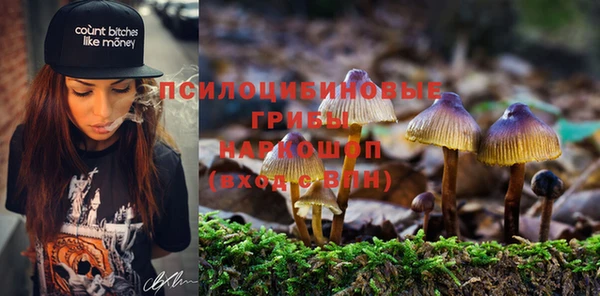 мяу мяу мука Баксан