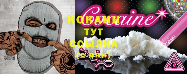 соль ск Богданович